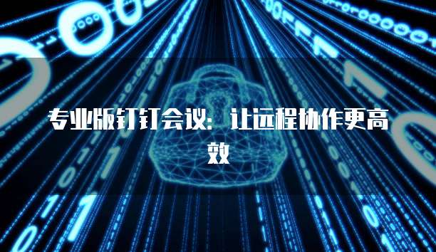 专业版钉钉会议：让远程协作更高效