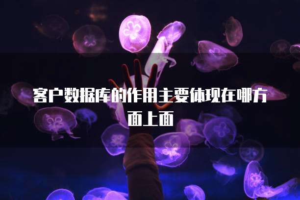 客户数据库的作用主要体现在哪方面上面
