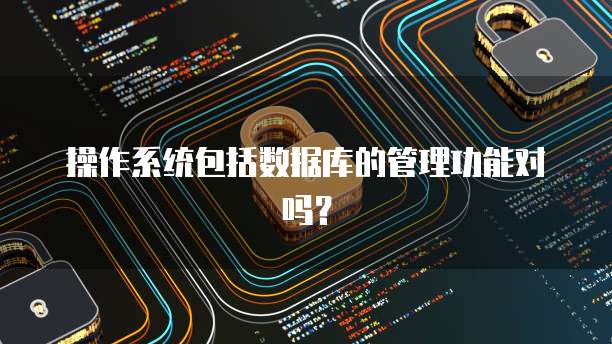 操作系统包括数据库的管理功能对吗？