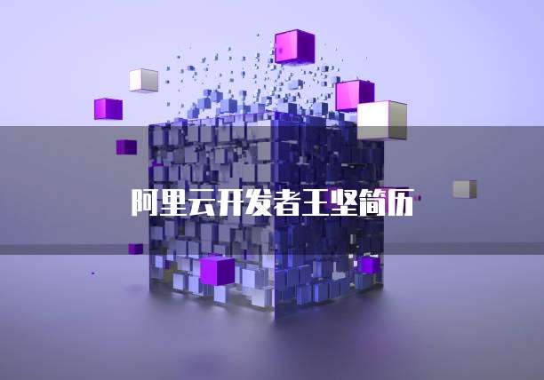 阿里云开发者王坚简历