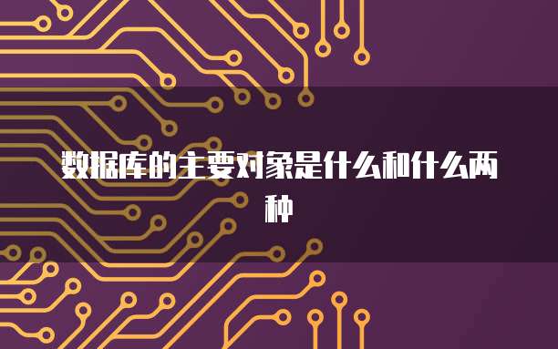 数据库的主要对象是什么和什么两种