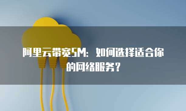 阿里云带宽5M：如何选择适合你的网络服务？