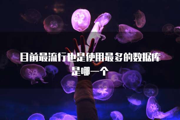 目前最流行也是使用最多的数据库是哪一个