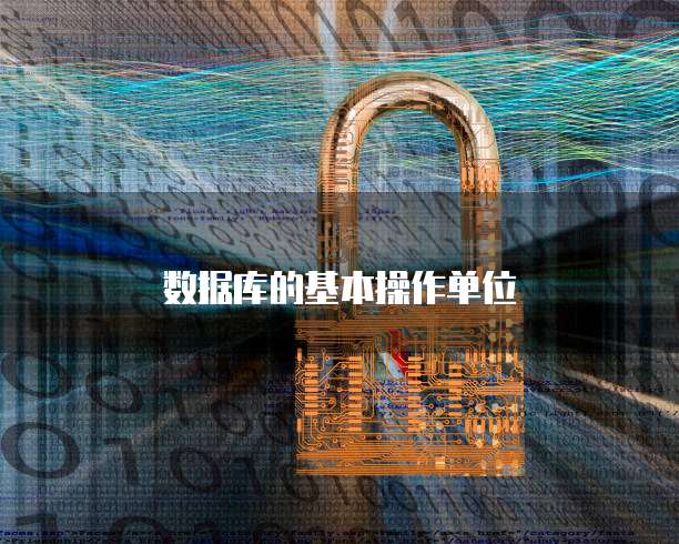 数据库的基本操作单位