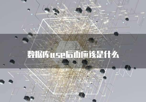 数据库use后面应该是什么