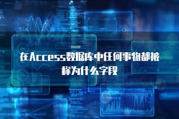 在Access数据库中任何事物都被称为什么字段