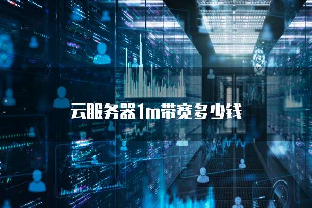 云服务器1m带宽多少钱