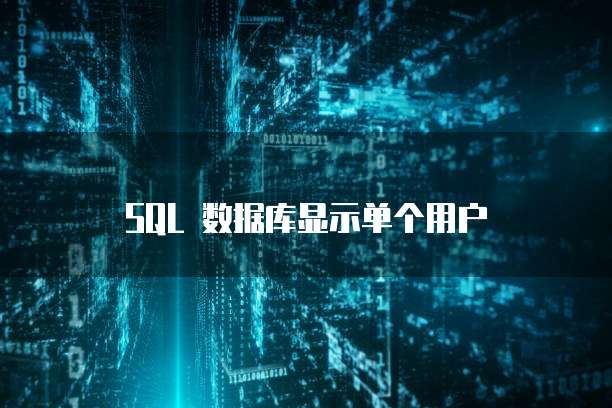 SQL 数据库显示单个用户