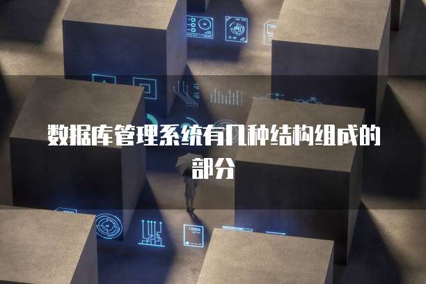 数据库管理系统有几种结构组成的部分