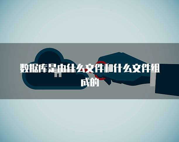 数据库是由什么文件和什么文件组成的