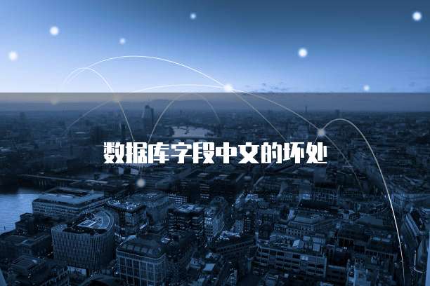 数据库字段中文的坏处