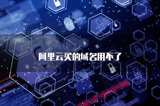阿里云买的域名用不了