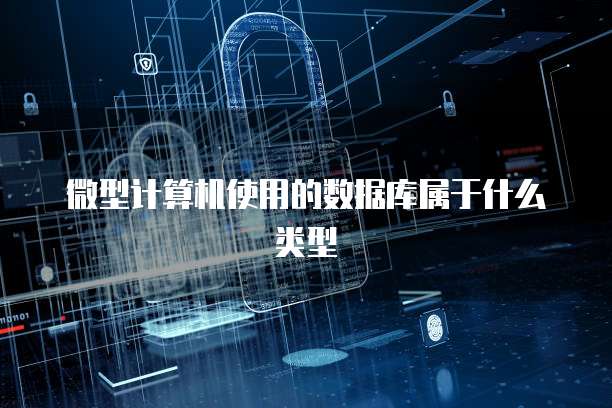微型计算机使用的数据库属于什么类型