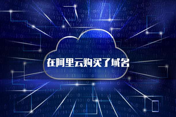 在阿里云购买了域名