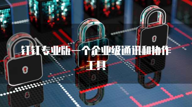 钉钉专业版一个企业级通讯和协作工具