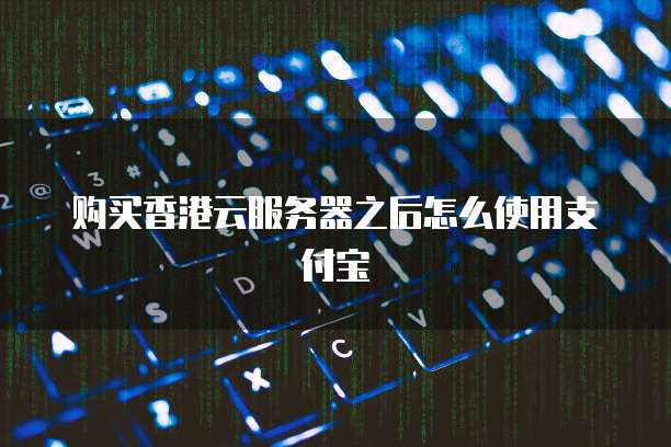 购买香港云服务器之后怎么使用支付宝