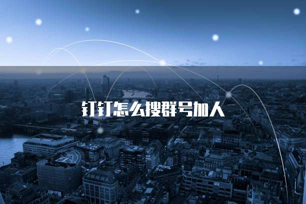 钉钉怎么搜群号加人
