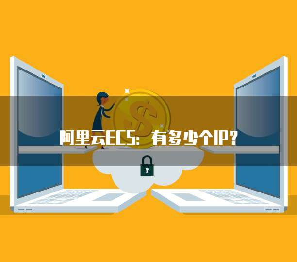 阿里云ECS：有多少个IP？