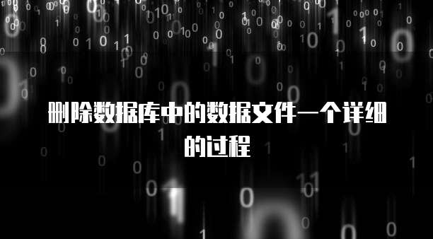 删除数据库中的数据文件一个详细的过程