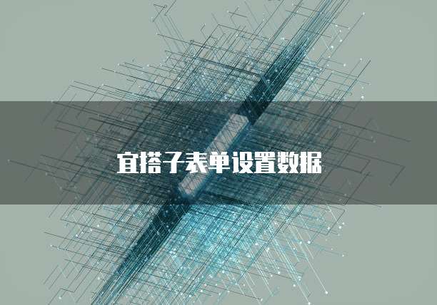 宜搭子表单设置数据