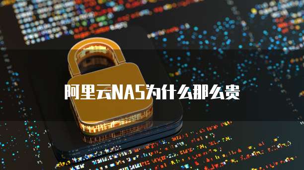 阿里云NAS为什么那么贵