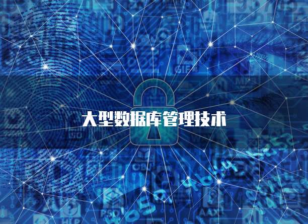 大型数据库管理技术