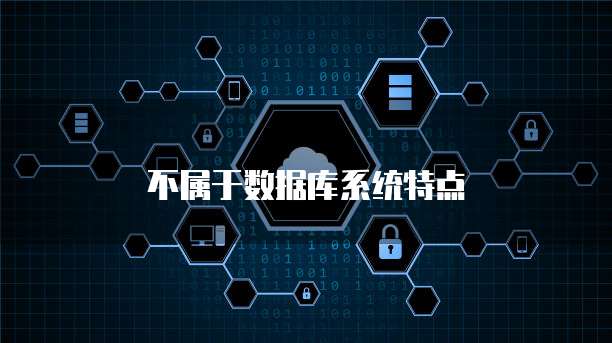 不属于数据库系统特点