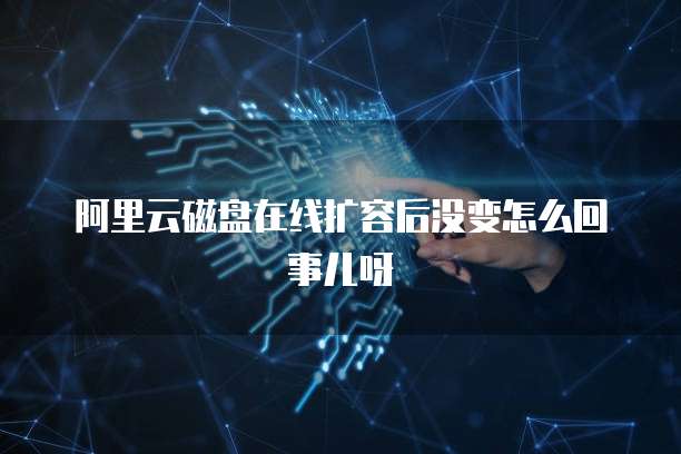 阿里云磁盘在线扩容后没变怎么回事儿呀