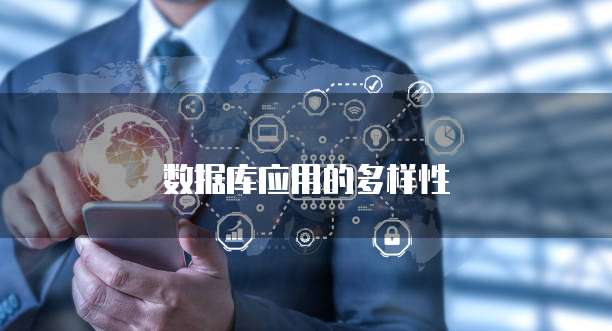 数据库应用的多样性
