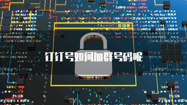 钉钉号如何加群号码呢