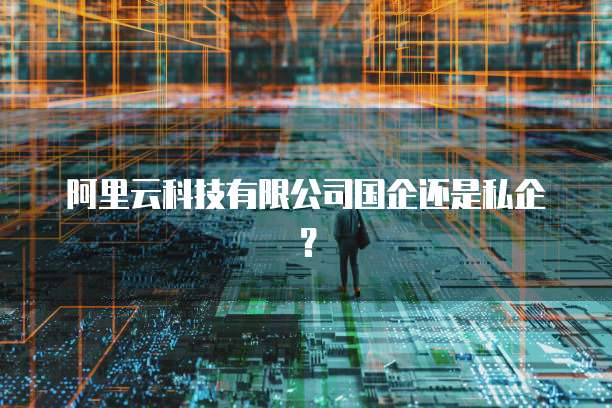 阿里云科技有限公司国企还是私企？