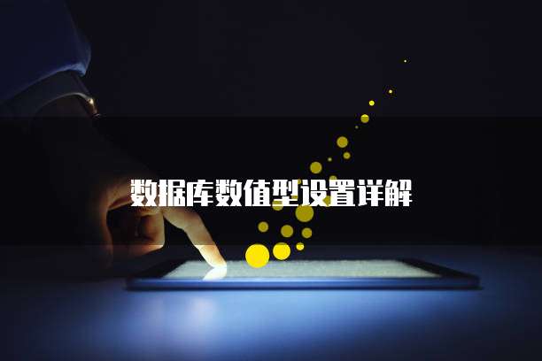 数据库数值型设置详解