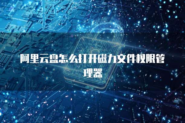 阿里云盘怎么打开磁力文件权限管理器