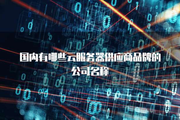 国内有哪些云服务器供应商品牌的公司名称