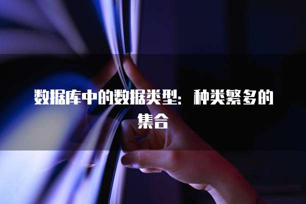 数据库中的数据类型：种类繁多的集合