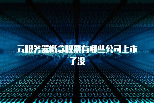 云服务器概念股票有哪些公司上市了没