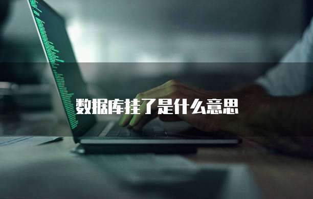 数据库挂了是什么意思