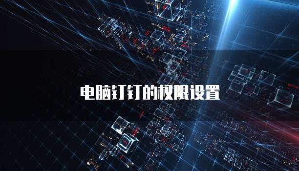电脑钉钉的权限设置