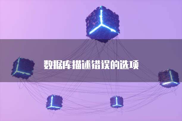 数据库描述错误的选项