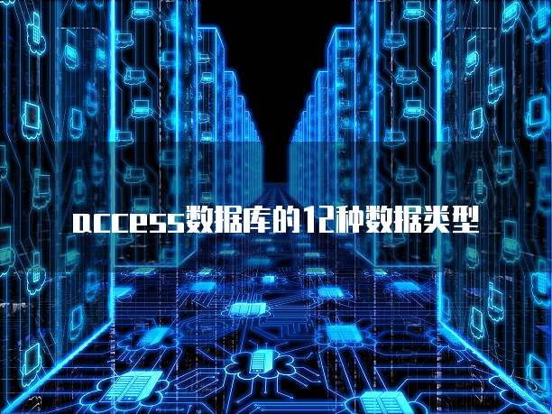 access数据库的12种数据类型
