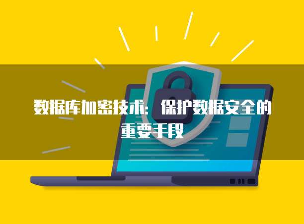 数据库加密技术：保护数据安全的重要手段