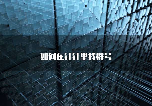 如何在钉钉里找群号
