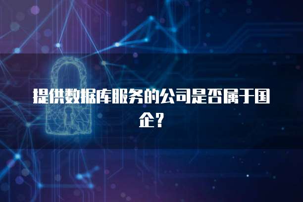 提供数据库服务的公司是否属于国企？