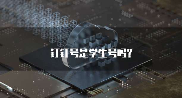 钉钉号是学生号吗？