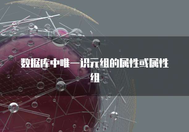 数据库中唯一识元组的属性或属性组