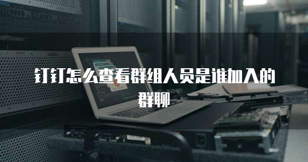 钉钉怎么查看群组人员是谁加入的群聊