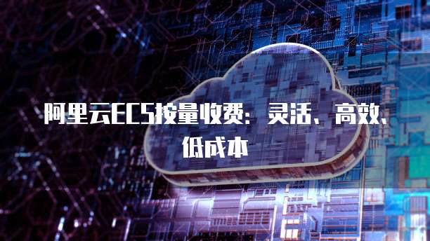 阿里云ECS按量收费：灵活、高效、低成本