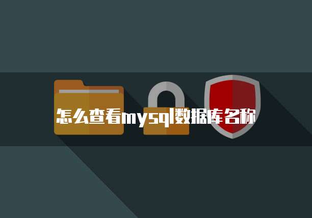 怎么查看mysql数据库名称
