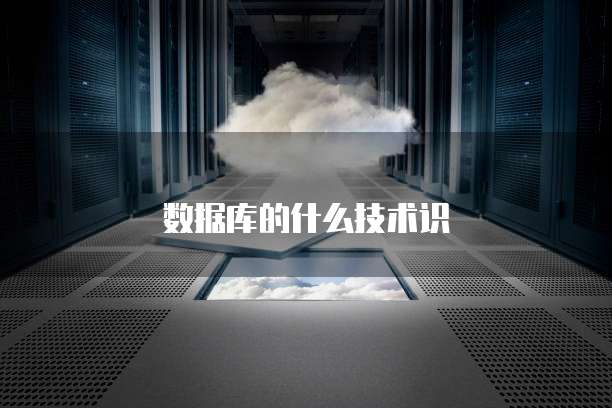 数据库的什么技术识