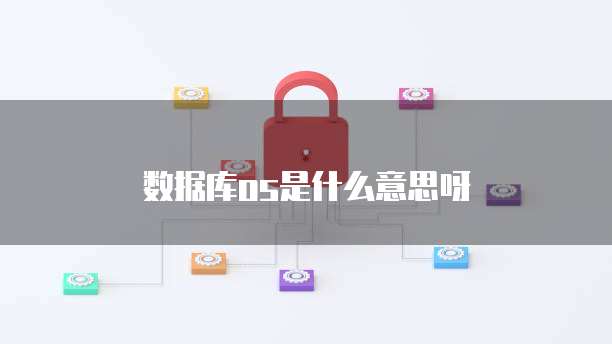 数据库os是什么意思呀